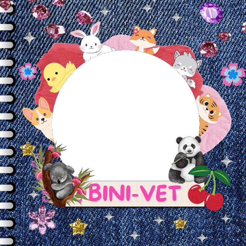 USM_CVM