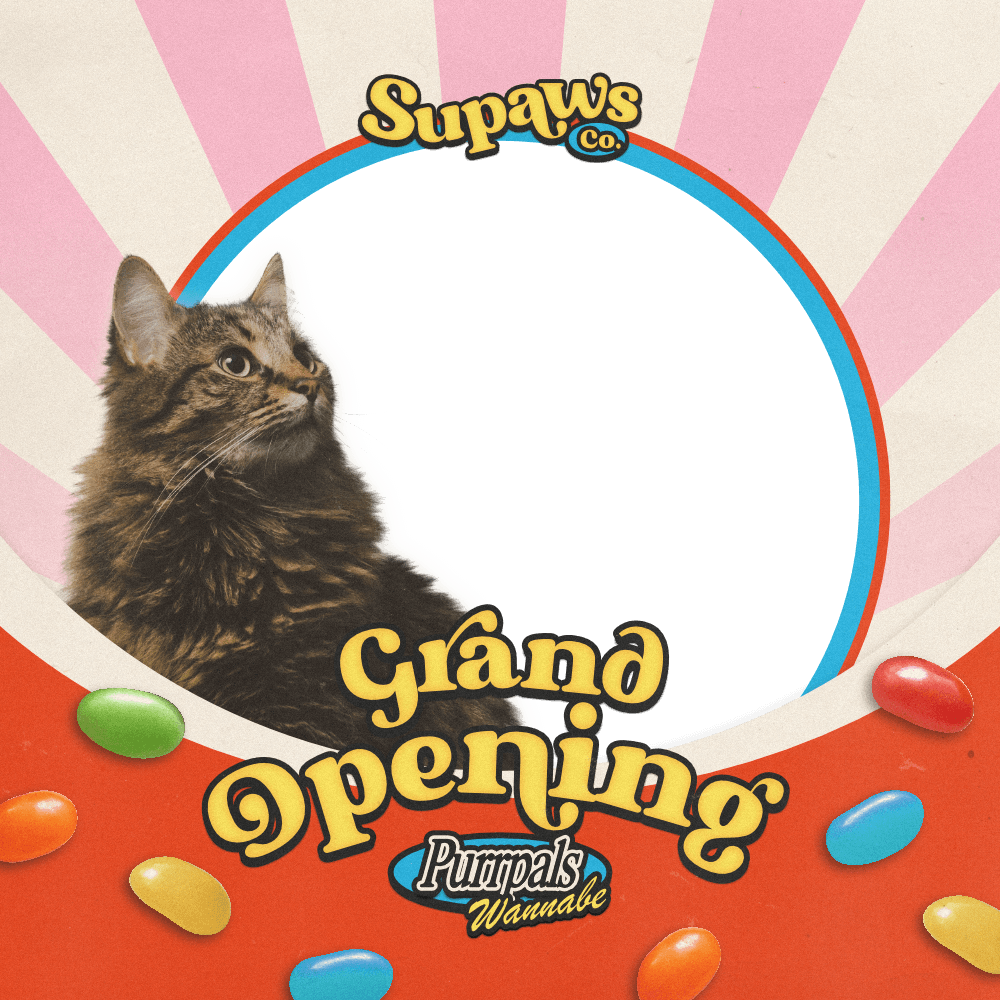 SupawsCo: Grand Opening