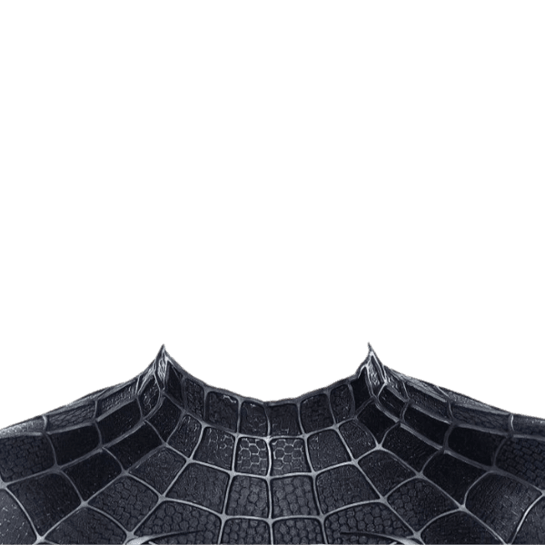 SWINGING IN ACTION (TS SPIDER-PEOPLE)