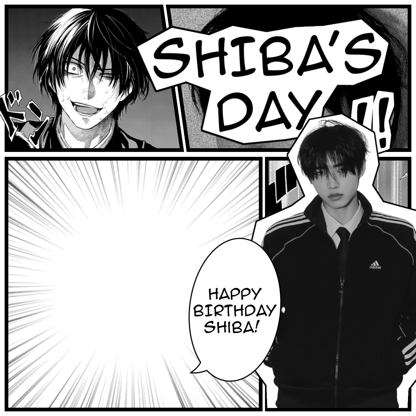 Shiba's Birthday