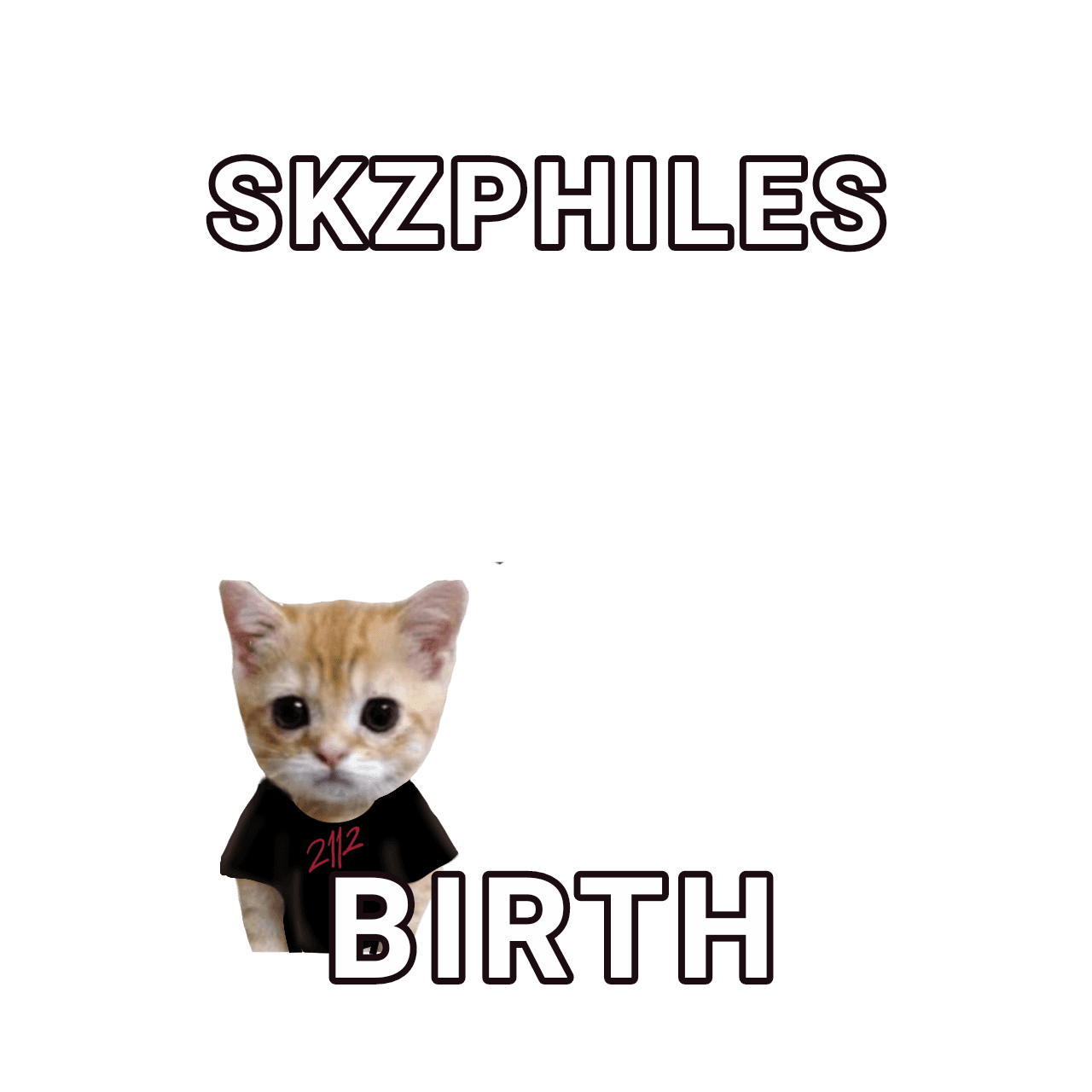 skzphiles birth 
