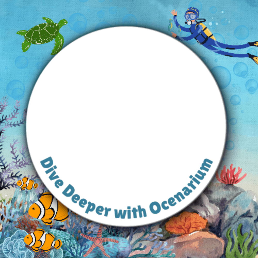 ofOcenarium Special Gift