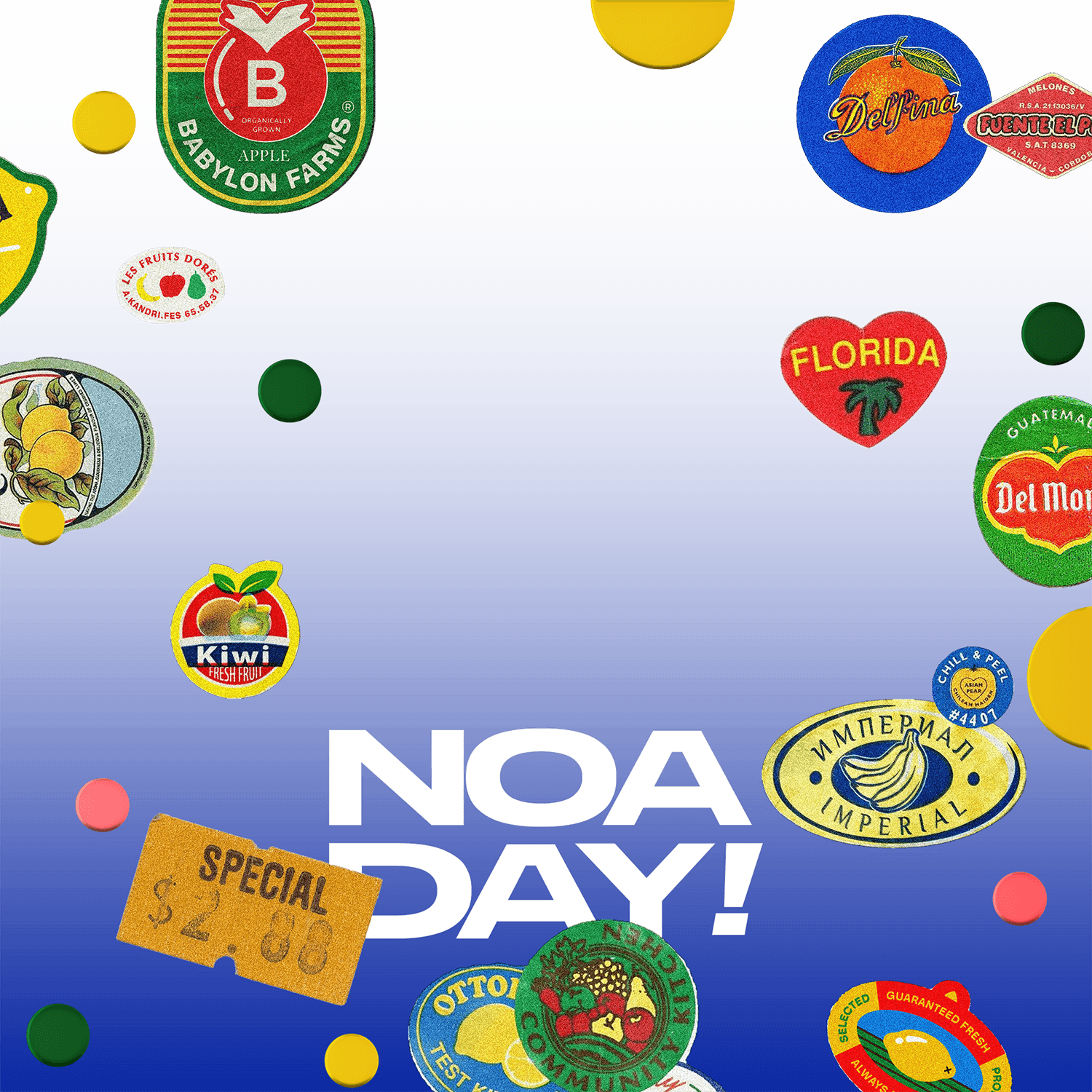 2611 Special: Noa Day!