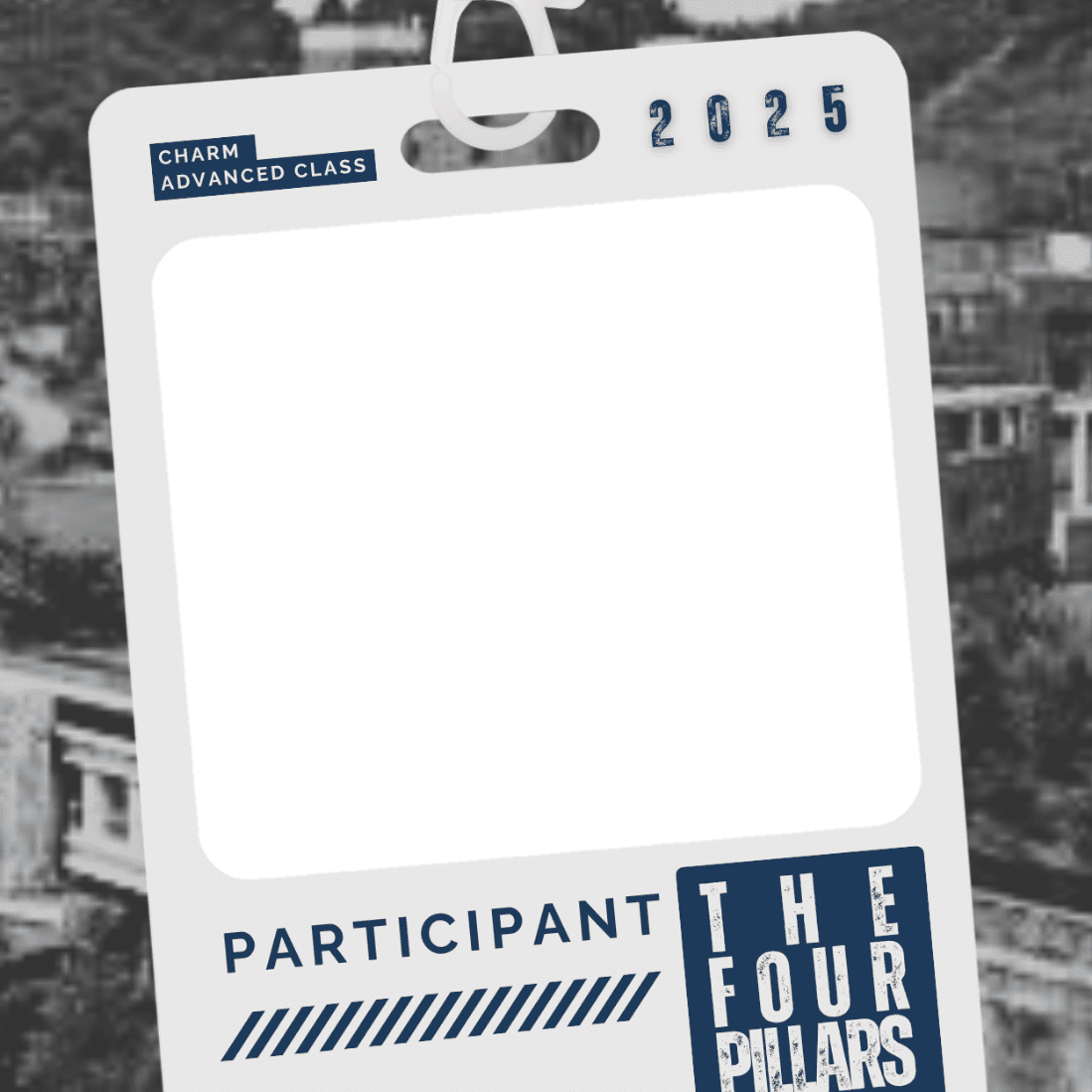 THE FOUR PILLARS PARTICIPANT