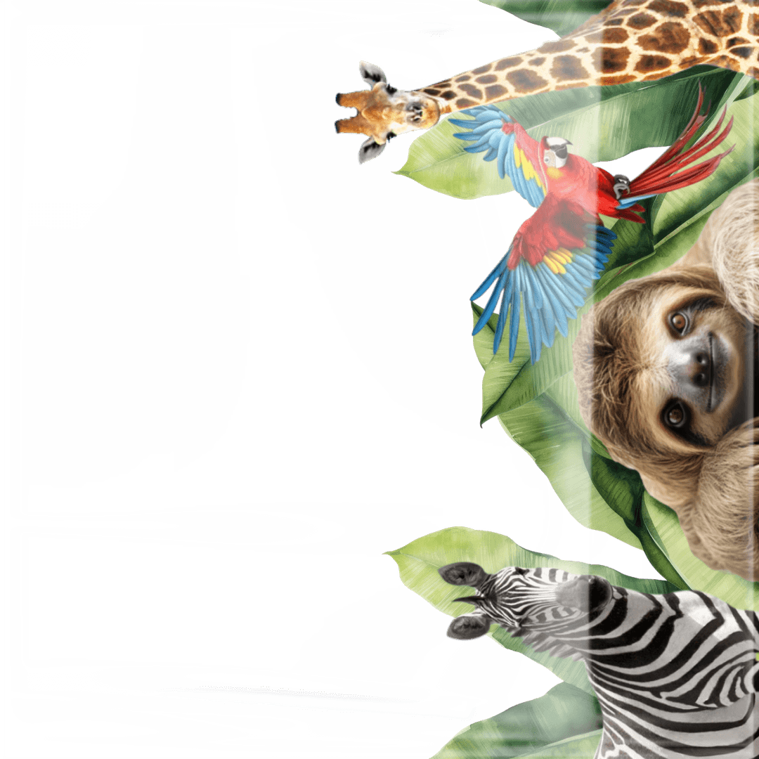 POPACE Animal Day!