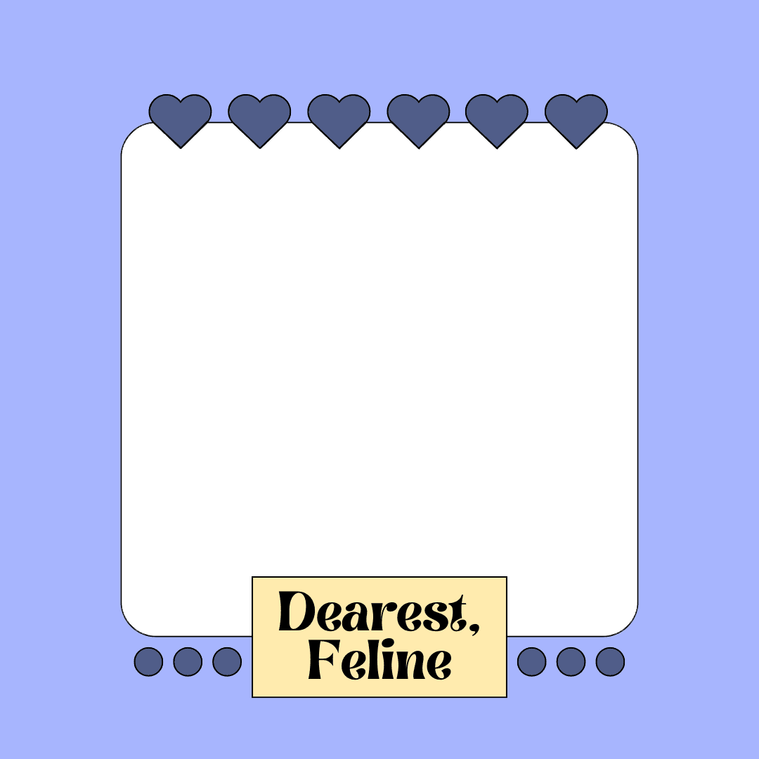 dearestfeline's homecoming