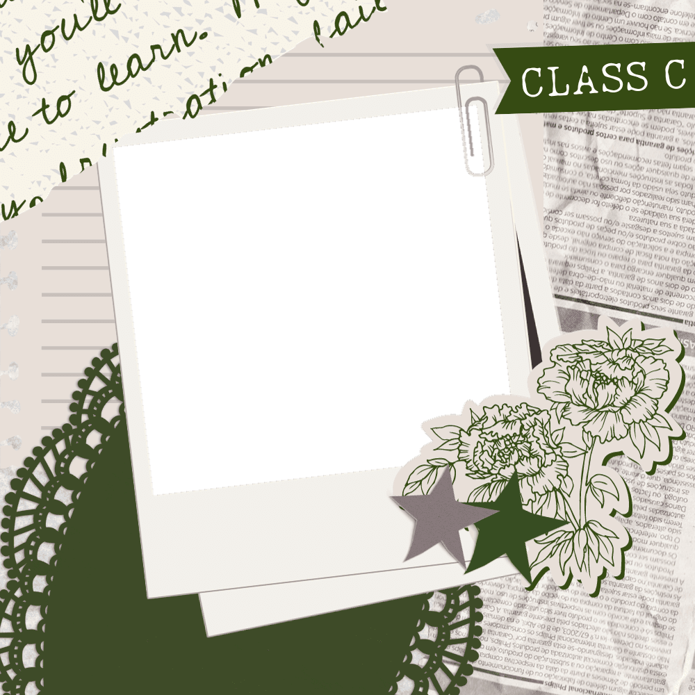 Students Profile 