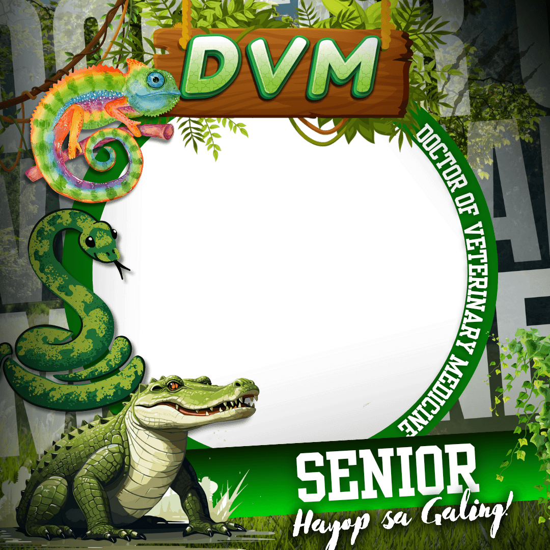 VETMED DP BLAST