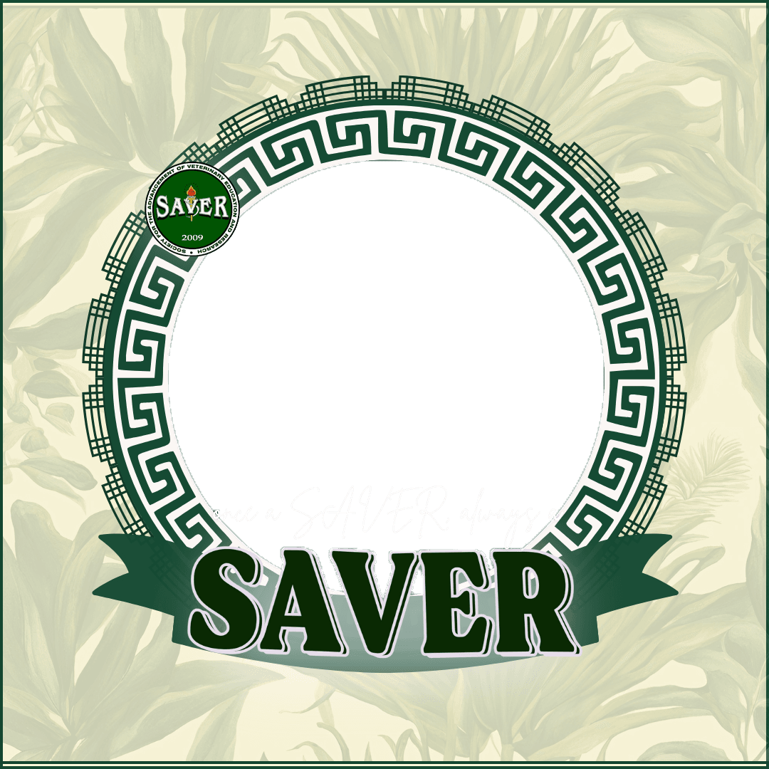 ASU SAVER 2k24