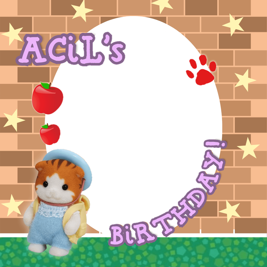 Acil’s Birthday Party!