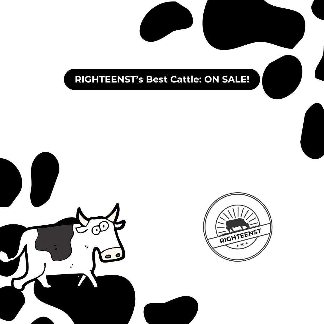 Righteenst's Best Cattle