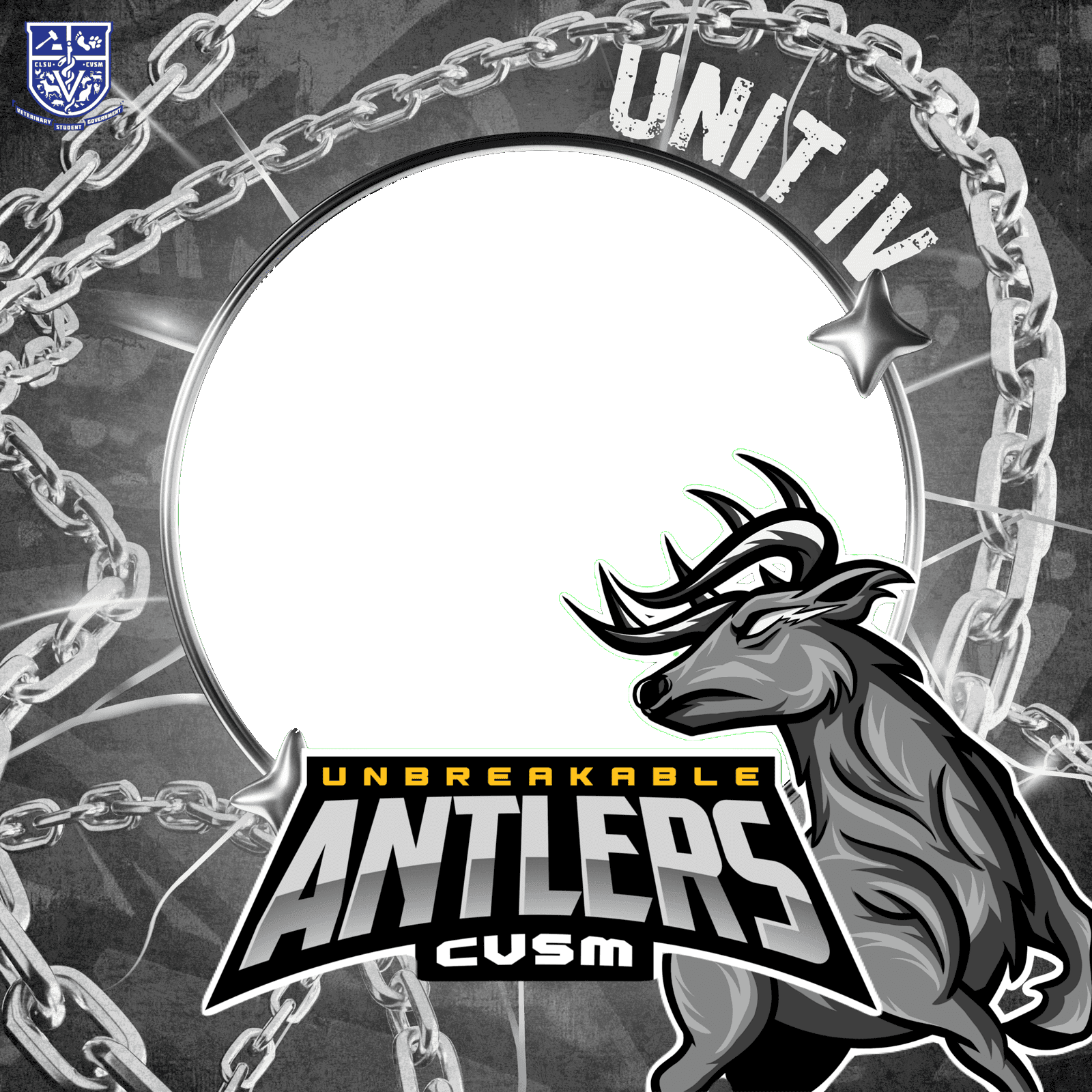 CVSM INTRAMS DP
