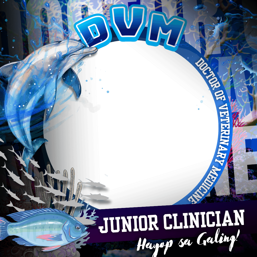 VETMED DP BLAST