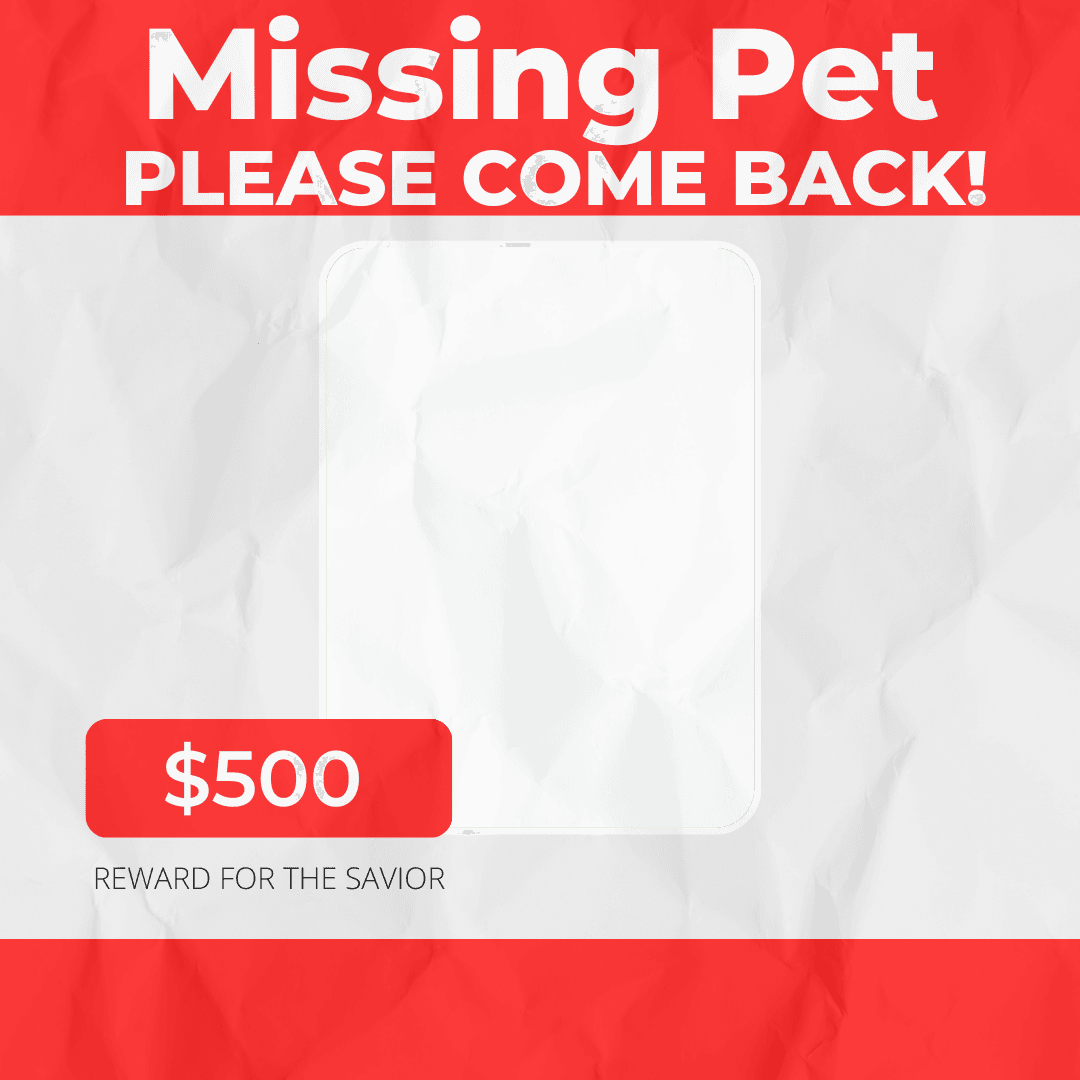 Missing Pet!