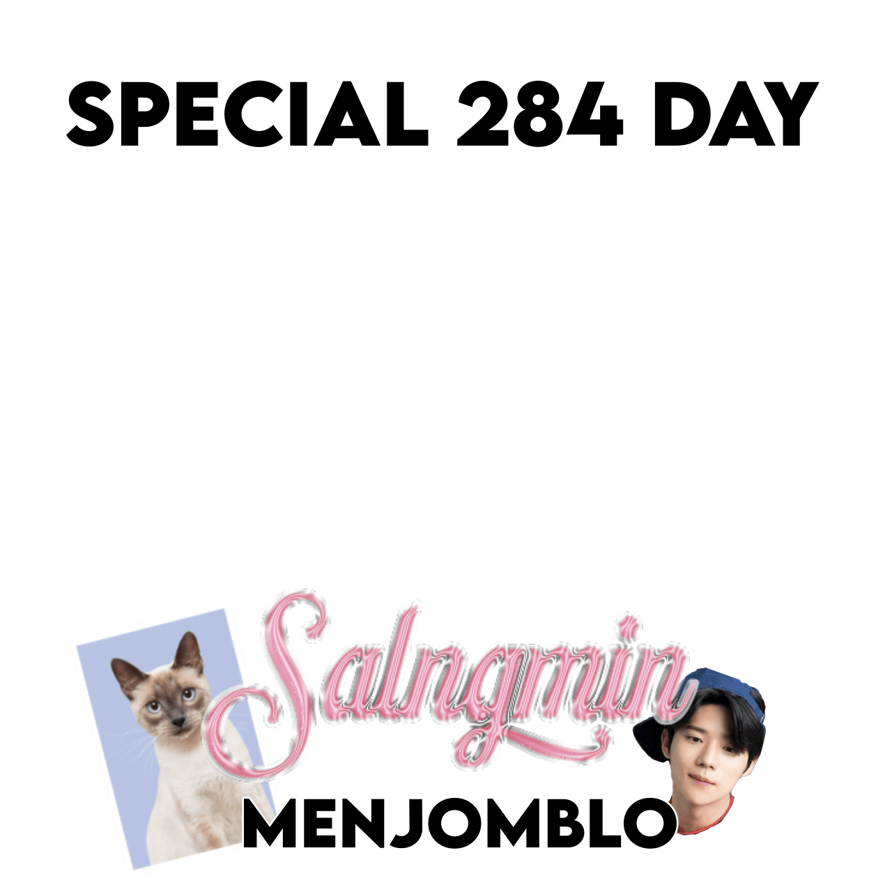 Salngmin_284D_jomblo