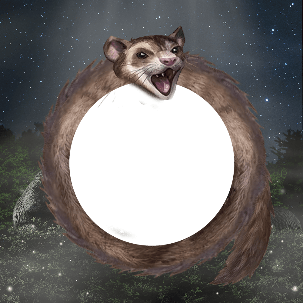 First Challenge: Jarvey