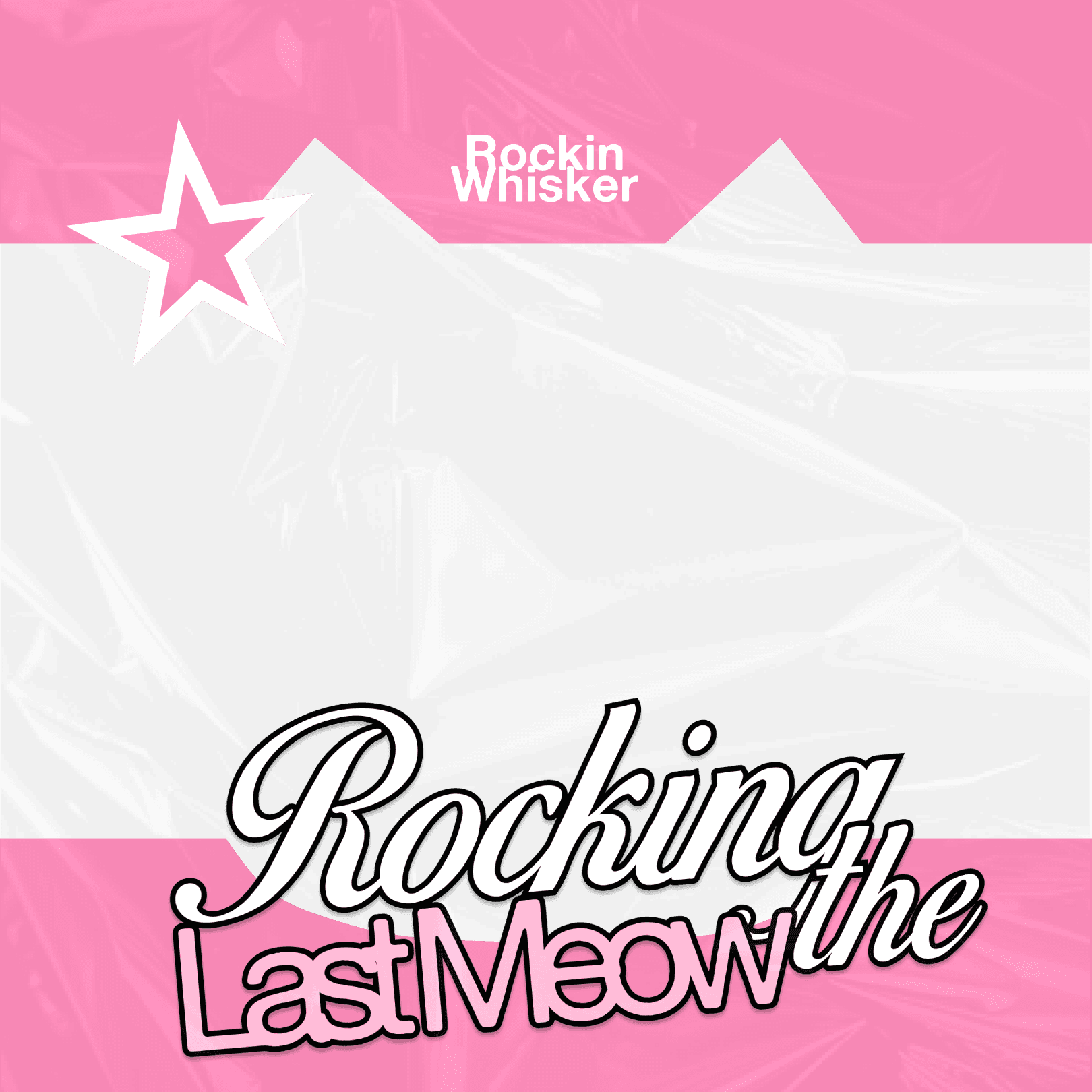 RockinWhisker's Farewell Party : Rocking The Last Meow.