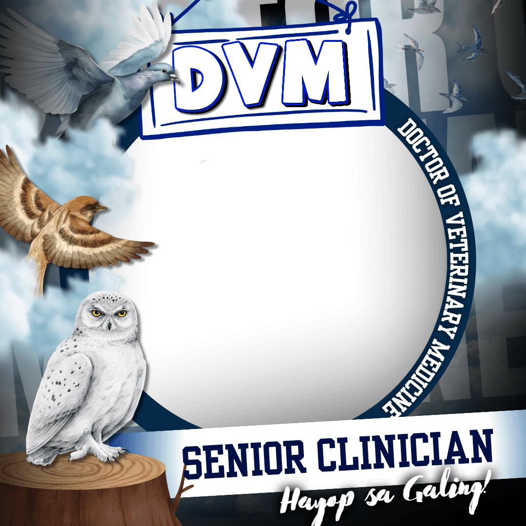 VETMED DP BLAST