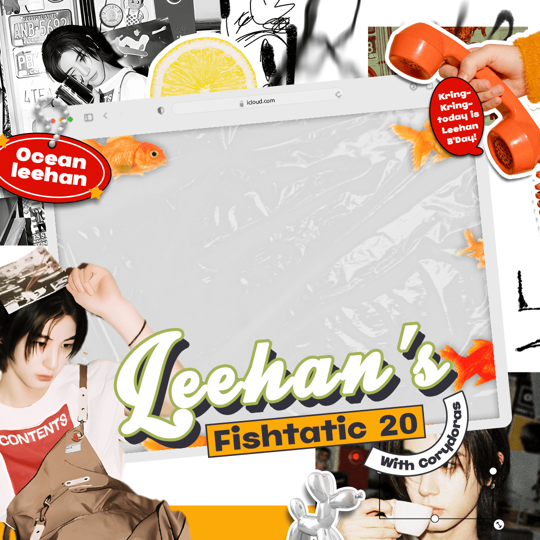 Leehan's Fishtatic 20 With Corydoras