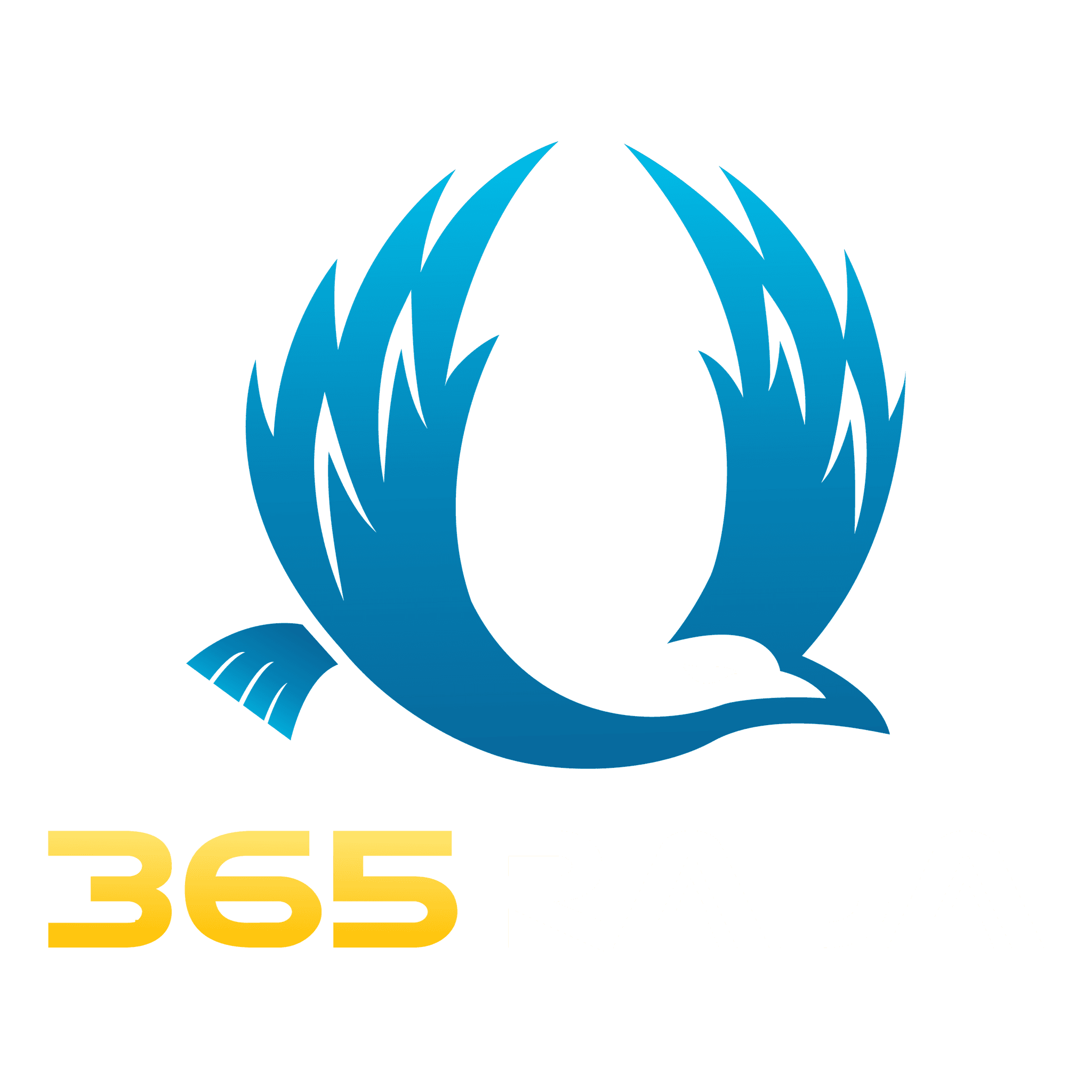🎁🎉 PROMO 50+50