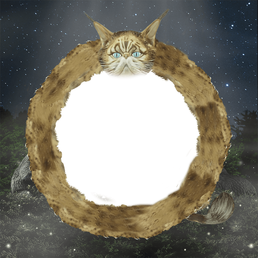 First Challenge: Kneazle
