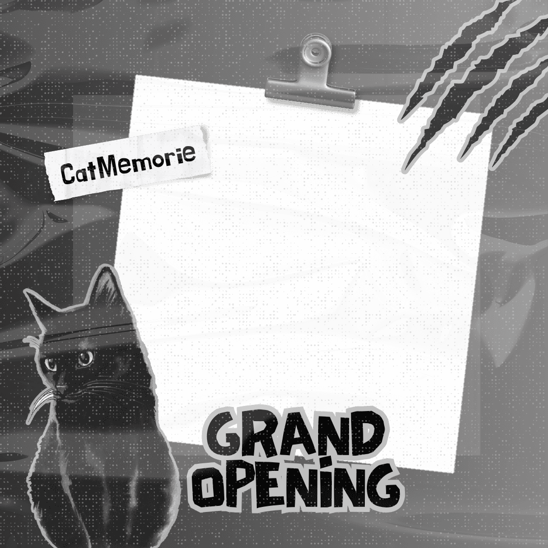CatMe Grand Opening
