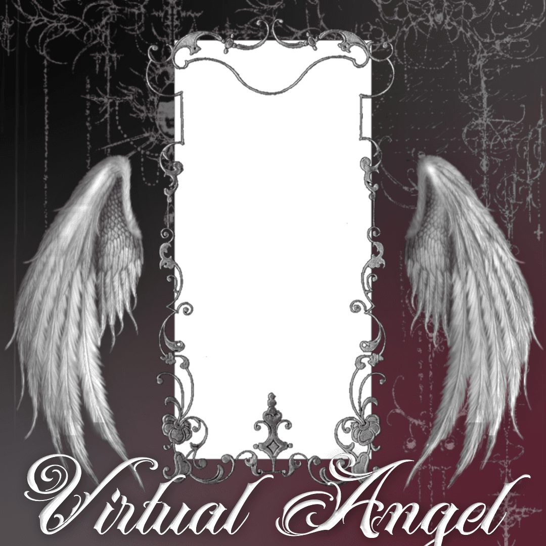 Virtual Angel ARTMS