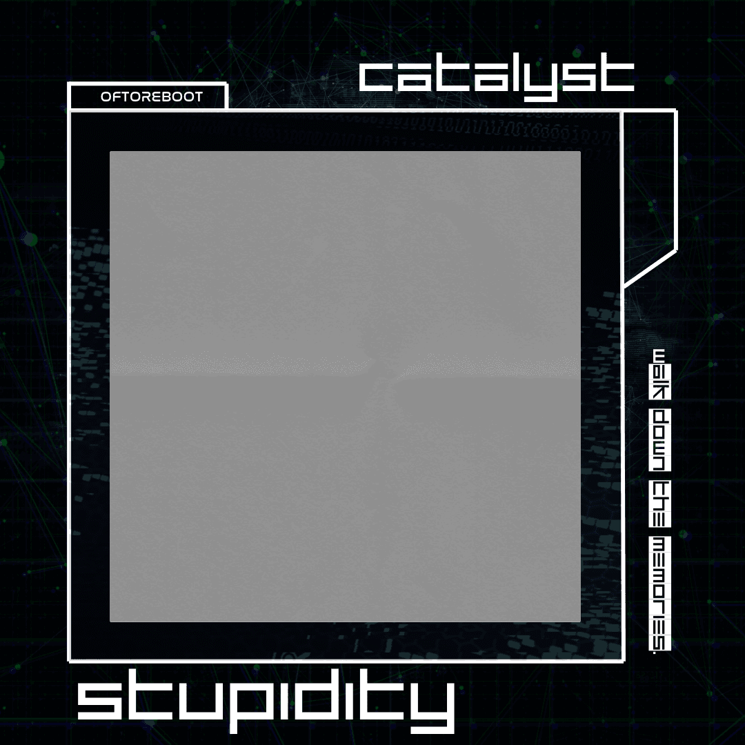 STUPIDITY OTR