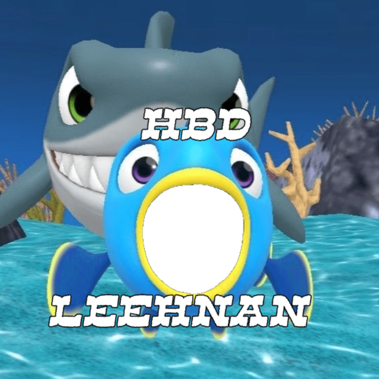 HBD LEEHNAN