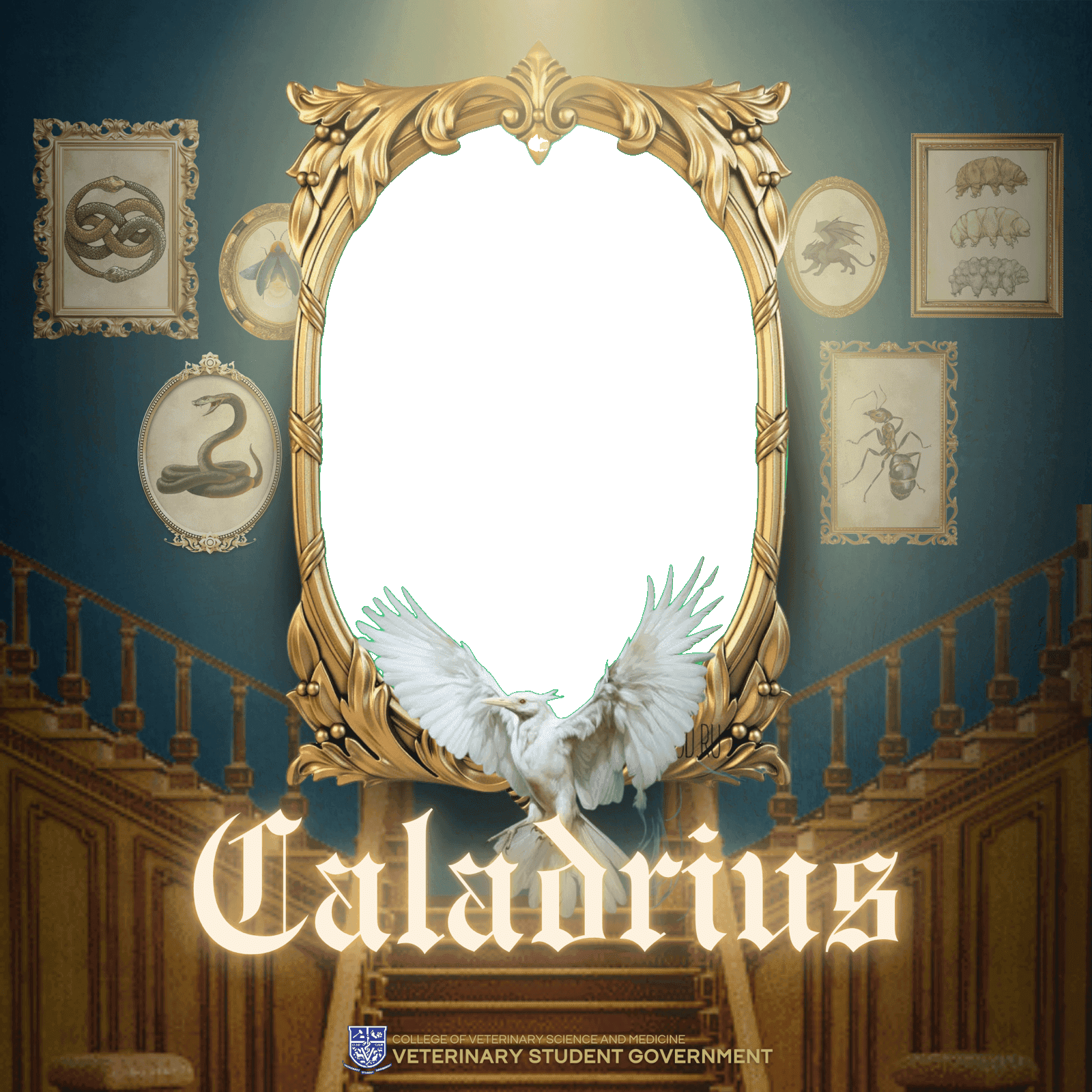 BATCH CALADRIUS