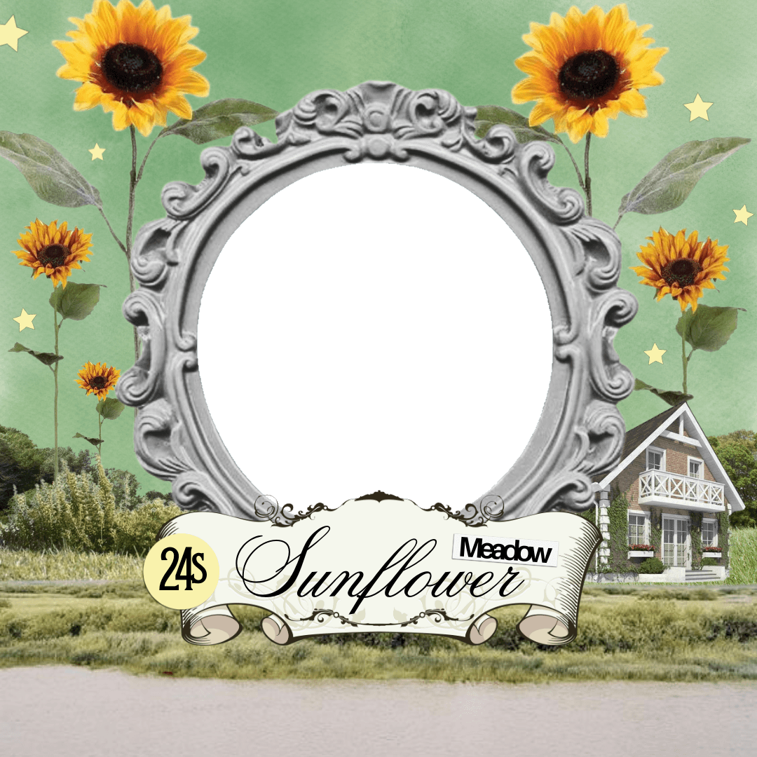 24s Sunflower Meadow