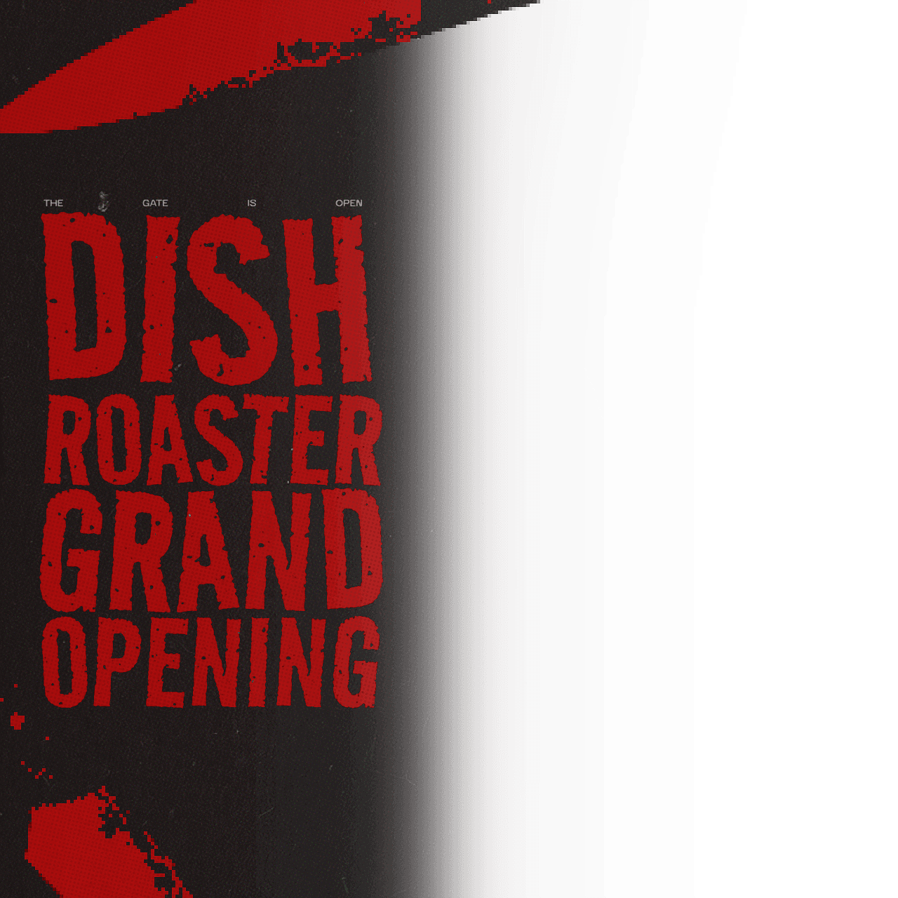 DishRoaster Grand Opening