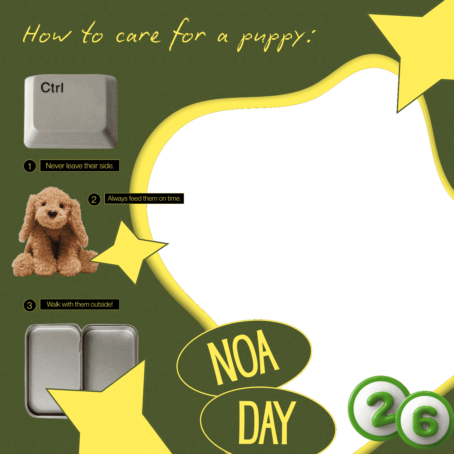 HOW TO CARE FOR A PUPPY