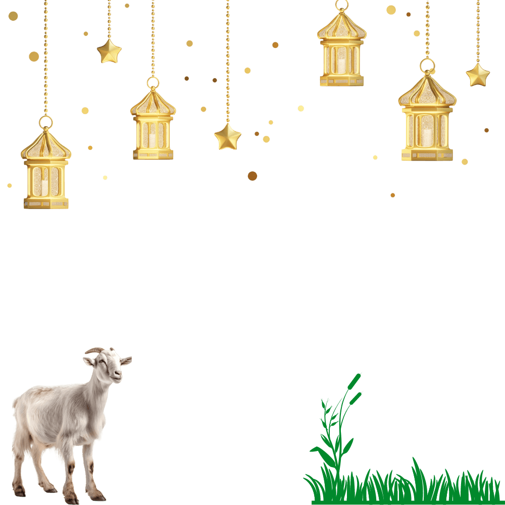 Berqurban