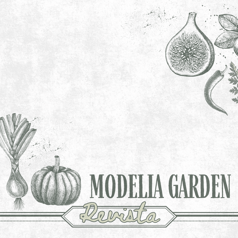 MODELIA GARDEN