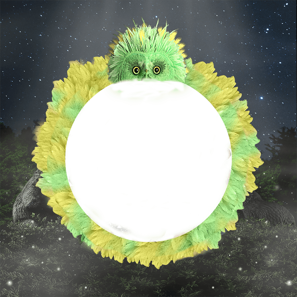 First Challenge: Fwooper