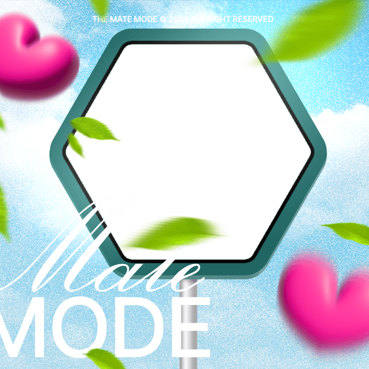 MATE MODE LAST DAY