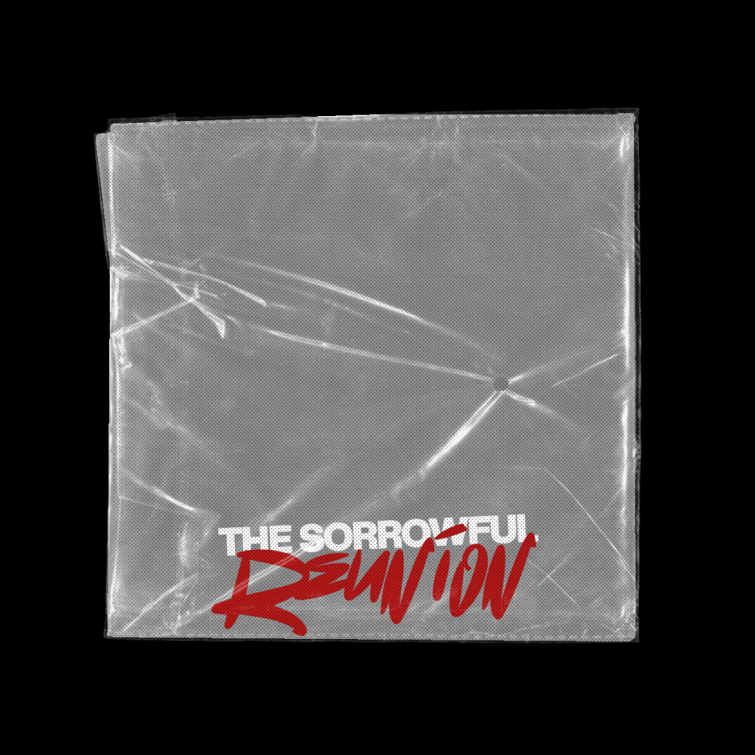 2nd event: the sorrowful reunion 