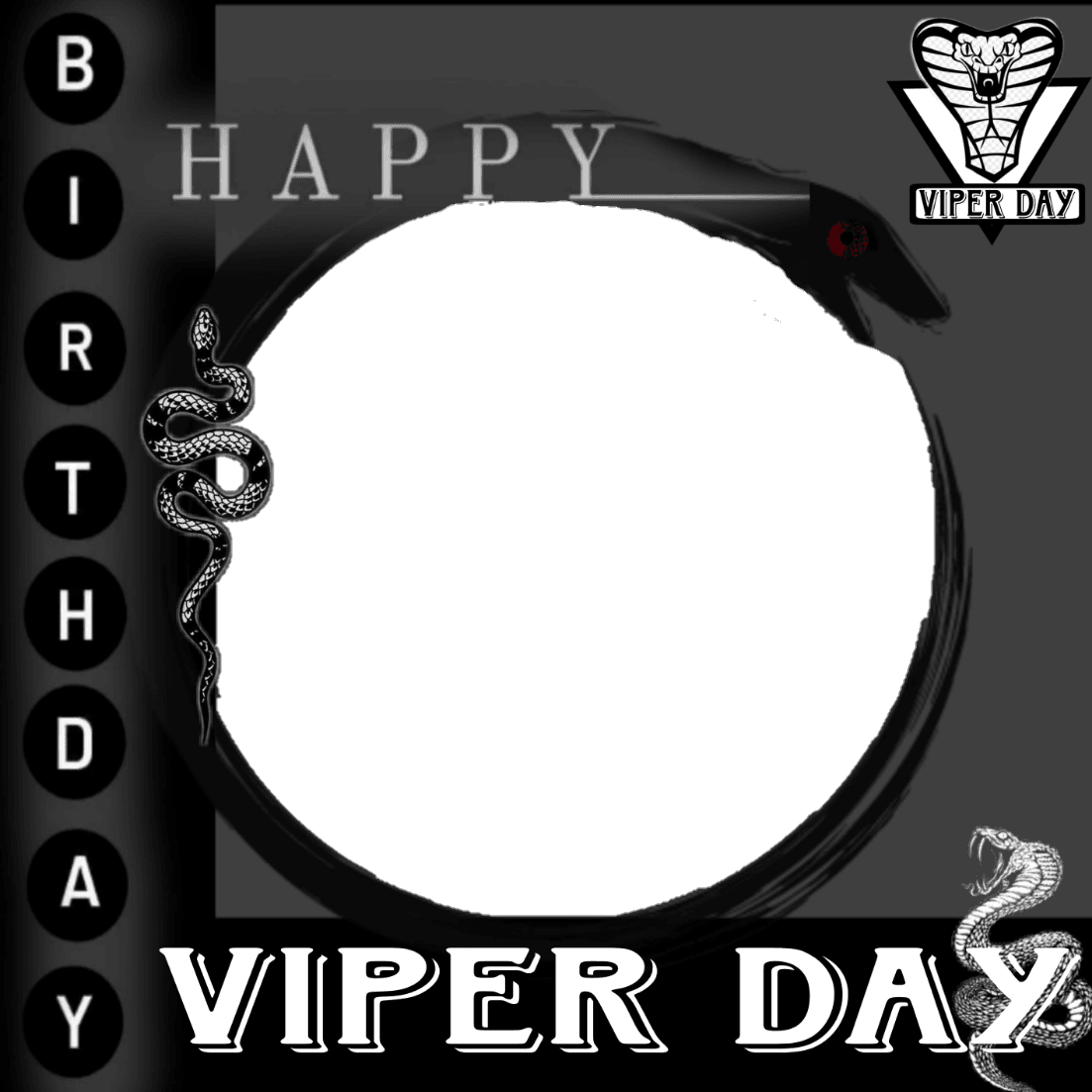 VIPER BIRTHDAY