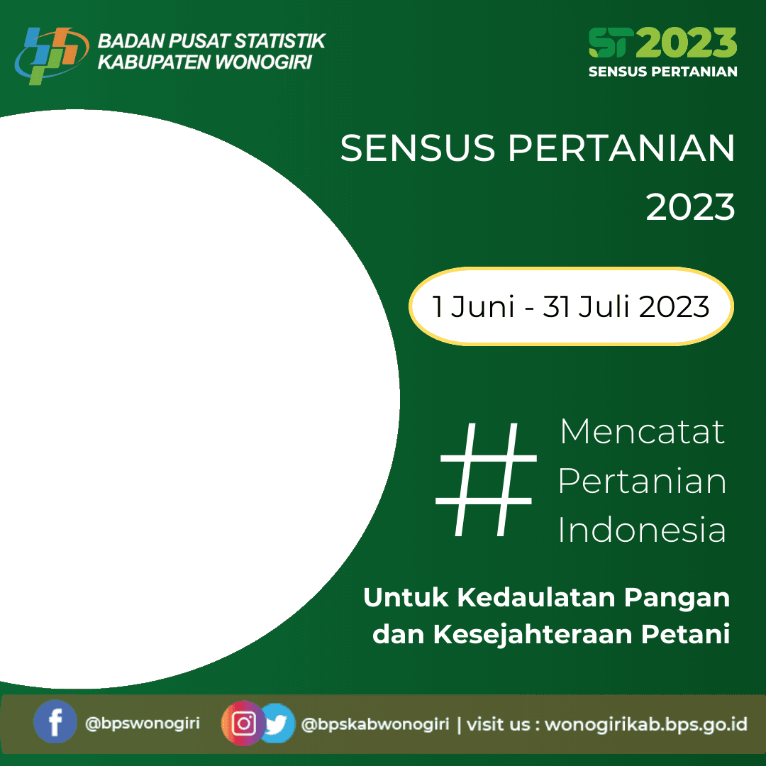 ST 2023 T*****n 3312