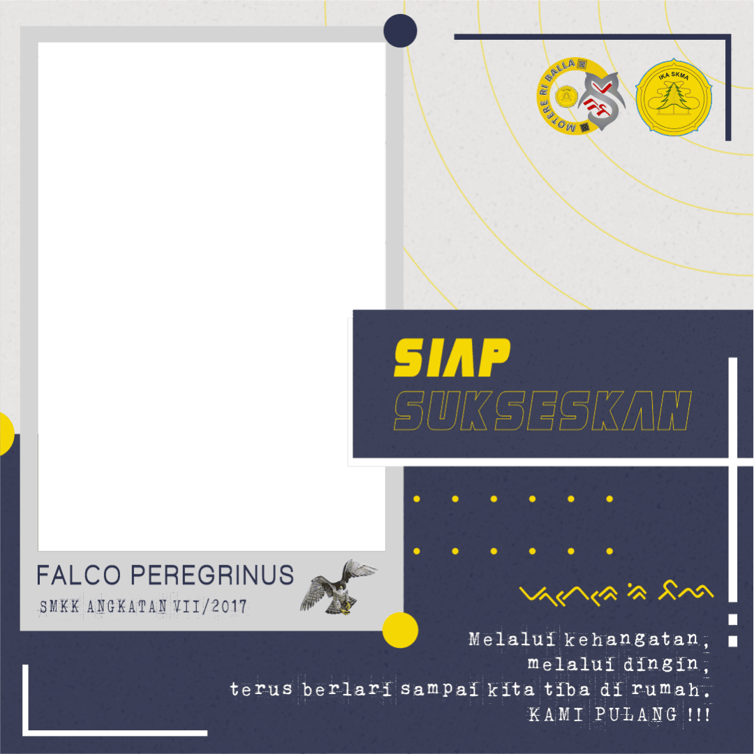 Falco Peregrinus