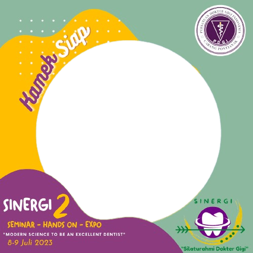 Sinergi 2