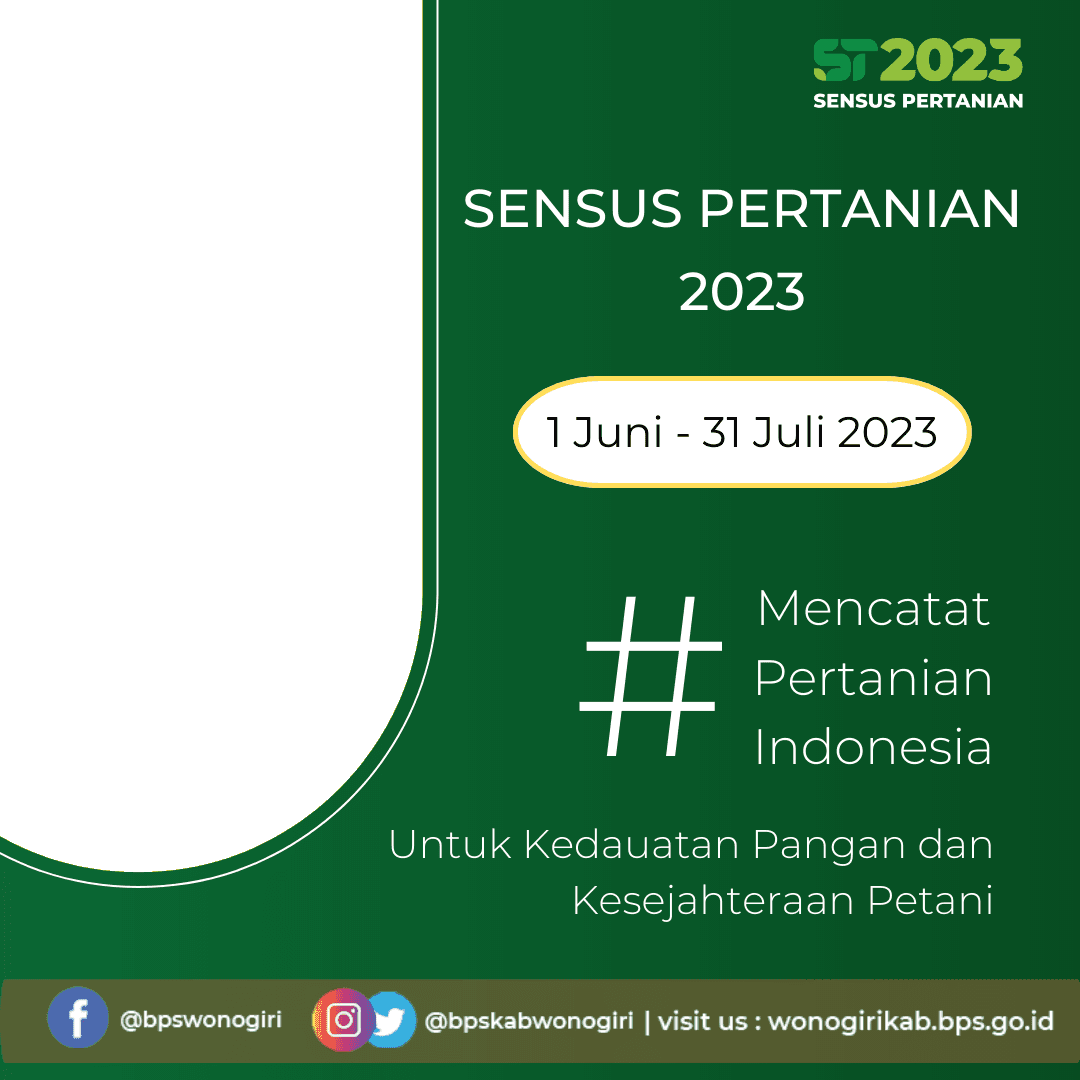 ST 2023 T*****n 3312