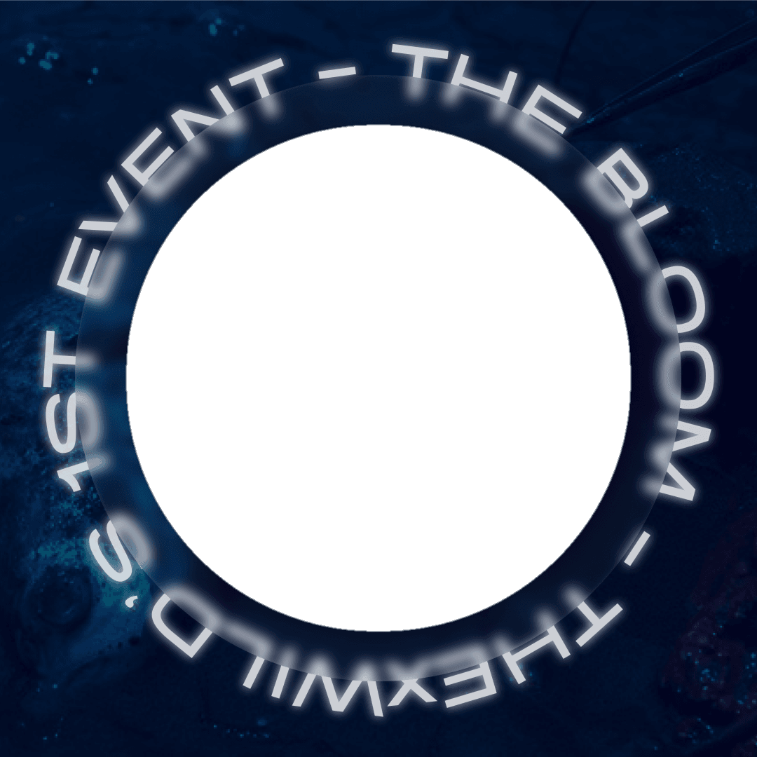 THE WILD II's 1st EVENT